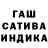 COCAIN Fish Scale Gulden Aliakbarova