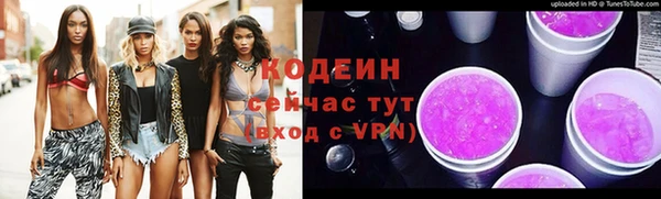 ПСИЛОЦИБИНОВЫЕ ГРИБЫ Ельня