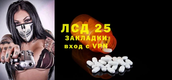 ПСИЛОЦИБИНОВЫЕ ГРИБЫ Ельня