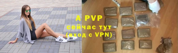 ПСИЛОЦИБИНОВЫЕ ГРИБЫ Ельня