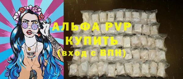 ПСИЛОЦИБИНОВЫЕ ГРИБЫ Ельня