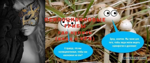 хмурый Заводоуковск