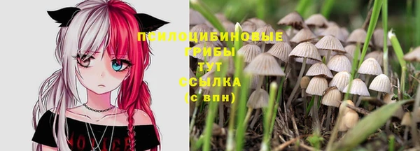 ПСИЛОЦИБИНОВЫЕ ГРИБЫ Ельня