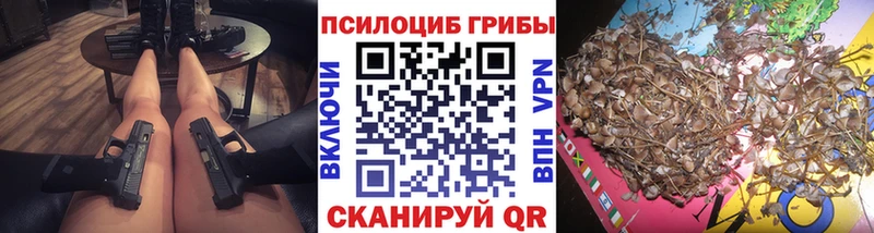 Галлюциногенные грибы мицелий  Купить закладки  Новочеркасск 